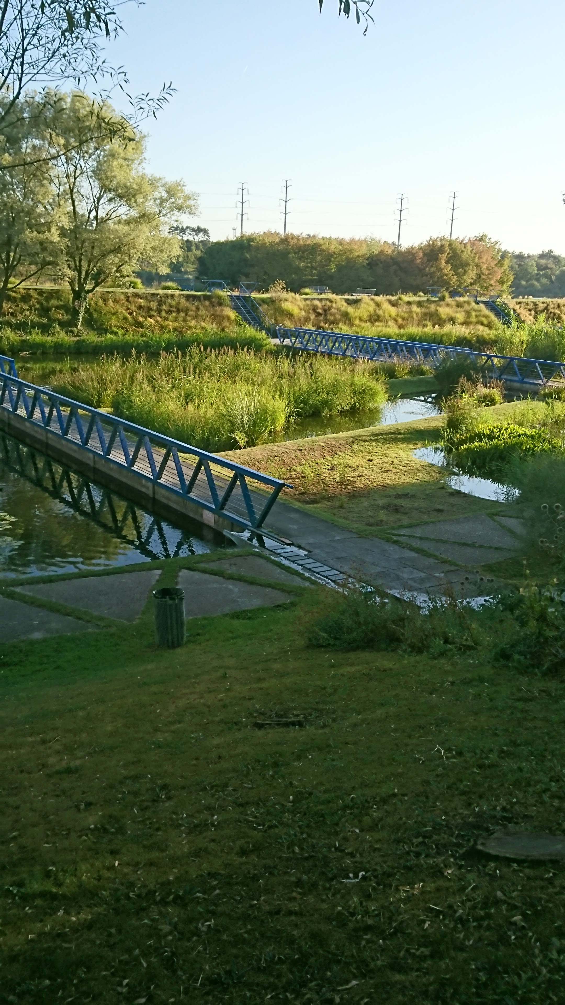 Photo n° 2 de l'avis de grasiela.e fait le 18/08/2018 à 07:50