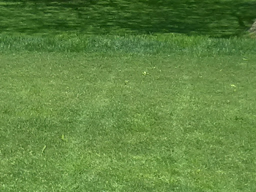 Public Golf Course «J.C. Martin Golf Course», reviews and photos, 652 Shunpike Rd, Erie, PA 16508, USA