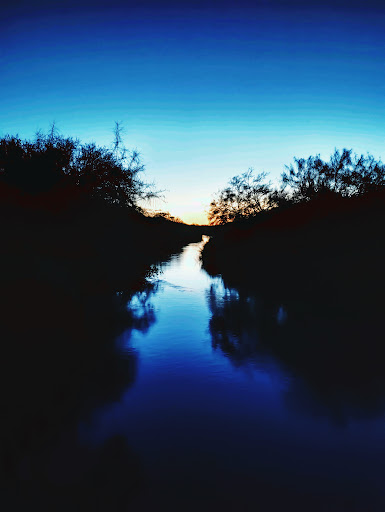 Park «Harlingen Thicket», reviews and photos, 311 E Tyler Ave, Harlingen, TX 78550, USA