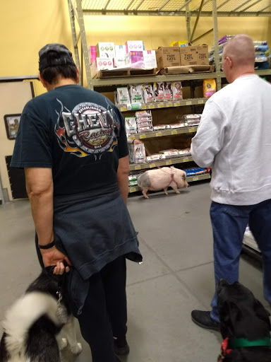 Pet Supply Store «Care-A-Lot Pet Supply Indian River», reviews and photos, 5457 Indian River Rd, Virginia Beach, VA 23464, USA