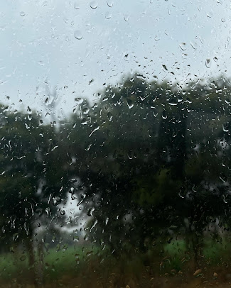 Google Maps image 16