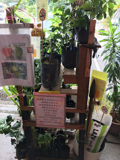 Florist and Plants