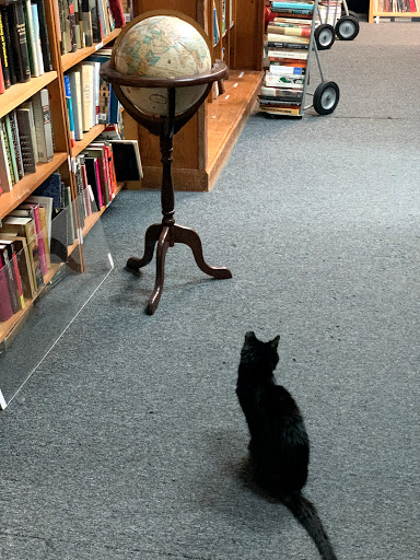 Used Book Store «Atlanta Vintage Books», reviews and photos, 3660 Clairmont Rd, Atlanta, GA 30341, USA