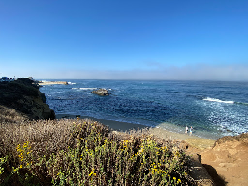 La Jolla Cove