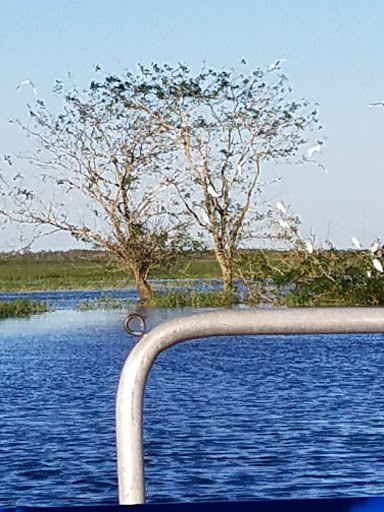 Tourist Attraction «Twister Airboat Rides», reviews and photos, 8199 W King St, Cocoa, FL 32926, USA