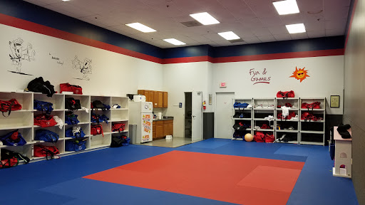 American Martial Arts Academy image