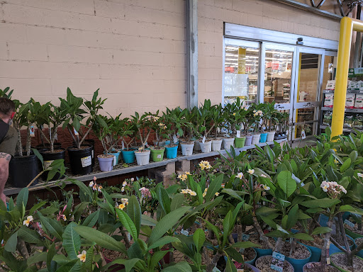 Home Improvement Store «The Home Depot», reviews and photos, 1095 Pullman St, Anaheim, CA 92807, USA