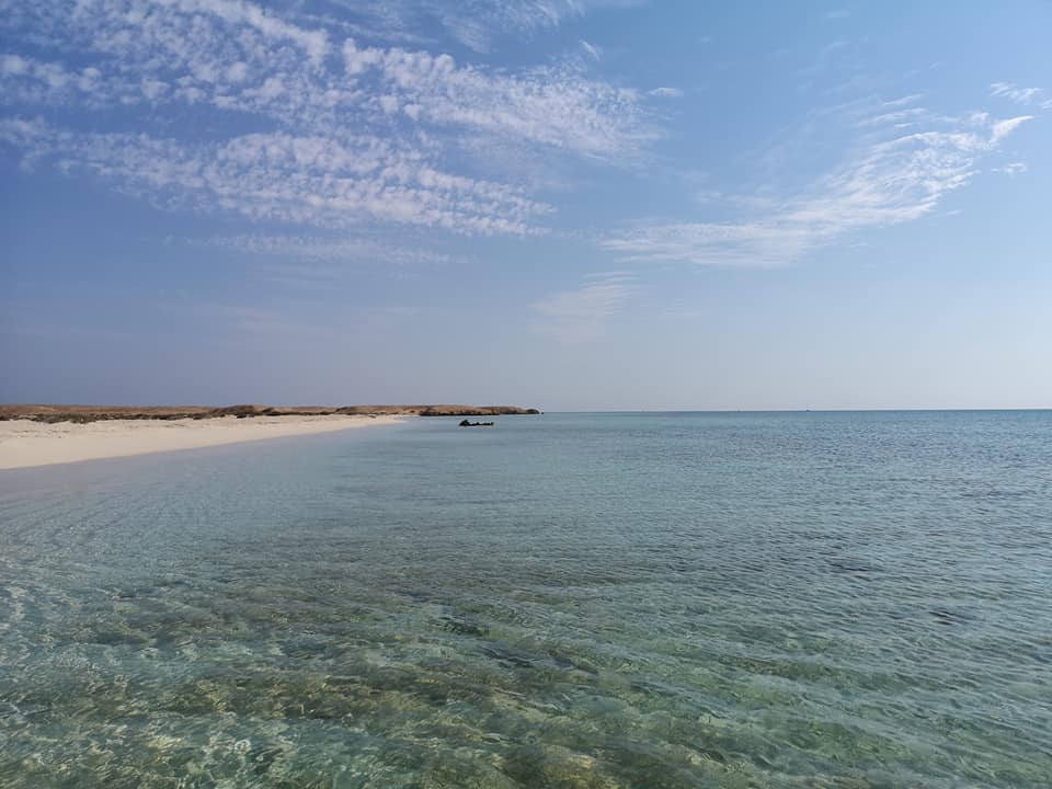 Ras Hankorab beach photo #8