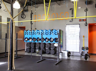 Iron Tribe Fitness - Downtown