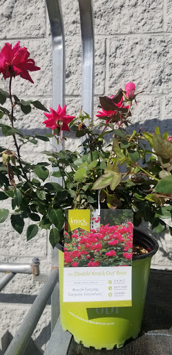 Discount Store «Walmart», reviews and photos, 1180 Fall River Ave, Seekonk, MA 02771, USA