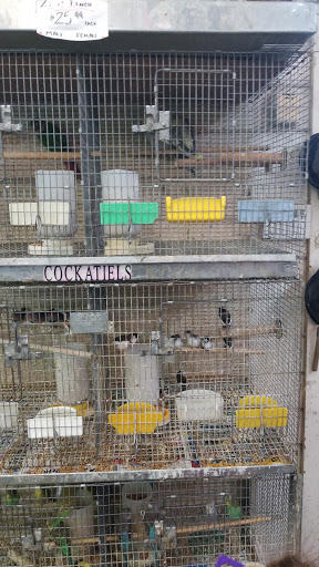 Animal Feed Store «Farmers Feed & Pet Supply», reviews and photos, 1302 E Miner Ave, Stockton, CA 95205, USA