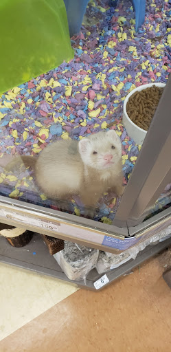 Pet Supply Store «Petco Animal Supplies», reviews and photos, 2435 N Hwy 67, Florissant, MO 63033, USA