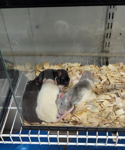 Pet Supply Store «Raiche Pet Supplies», reviews and photos, 6839 W Lee Hwy, Rural Retreat, VA 24368, USA