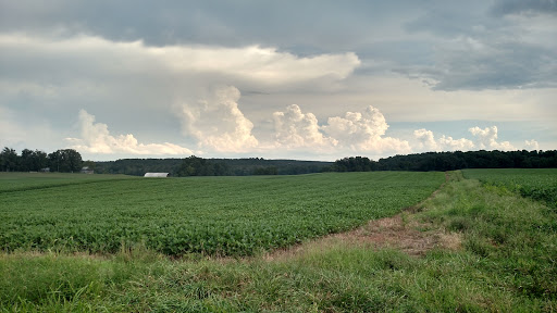 Photo of Southside Electric Corporation