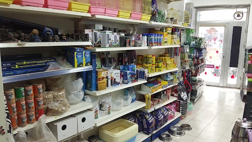 Oltu Çınar Petshop | Oltu Erzurum - Evcil hayvan mağazası