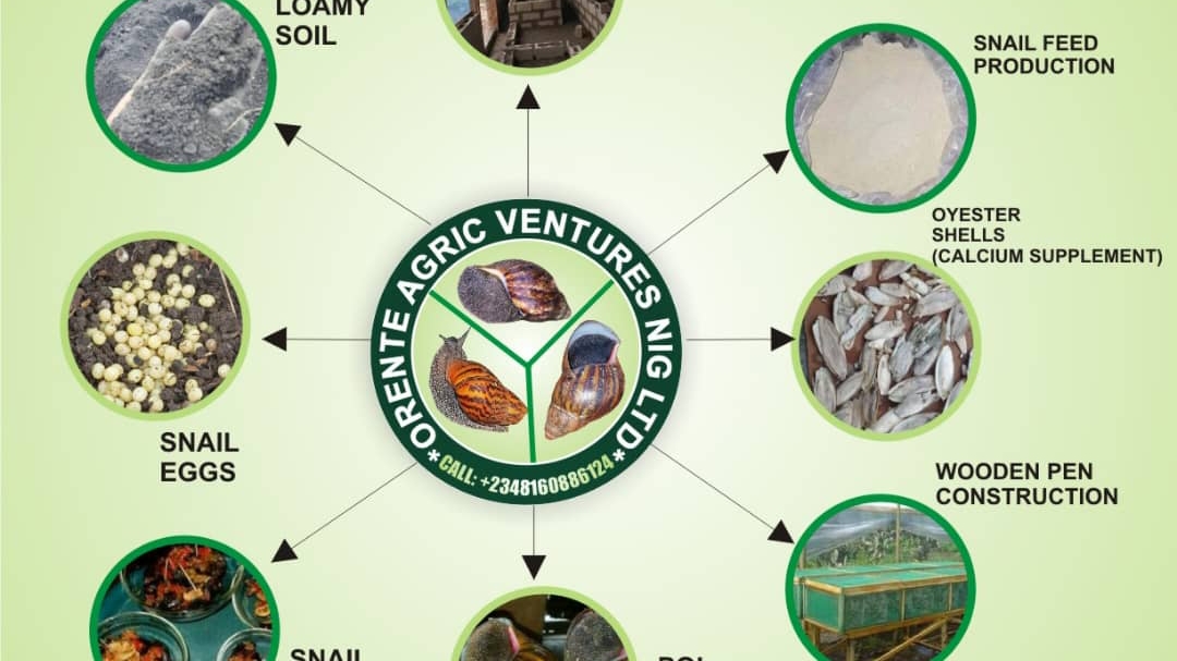 Oronte Agric Ventures Ltd