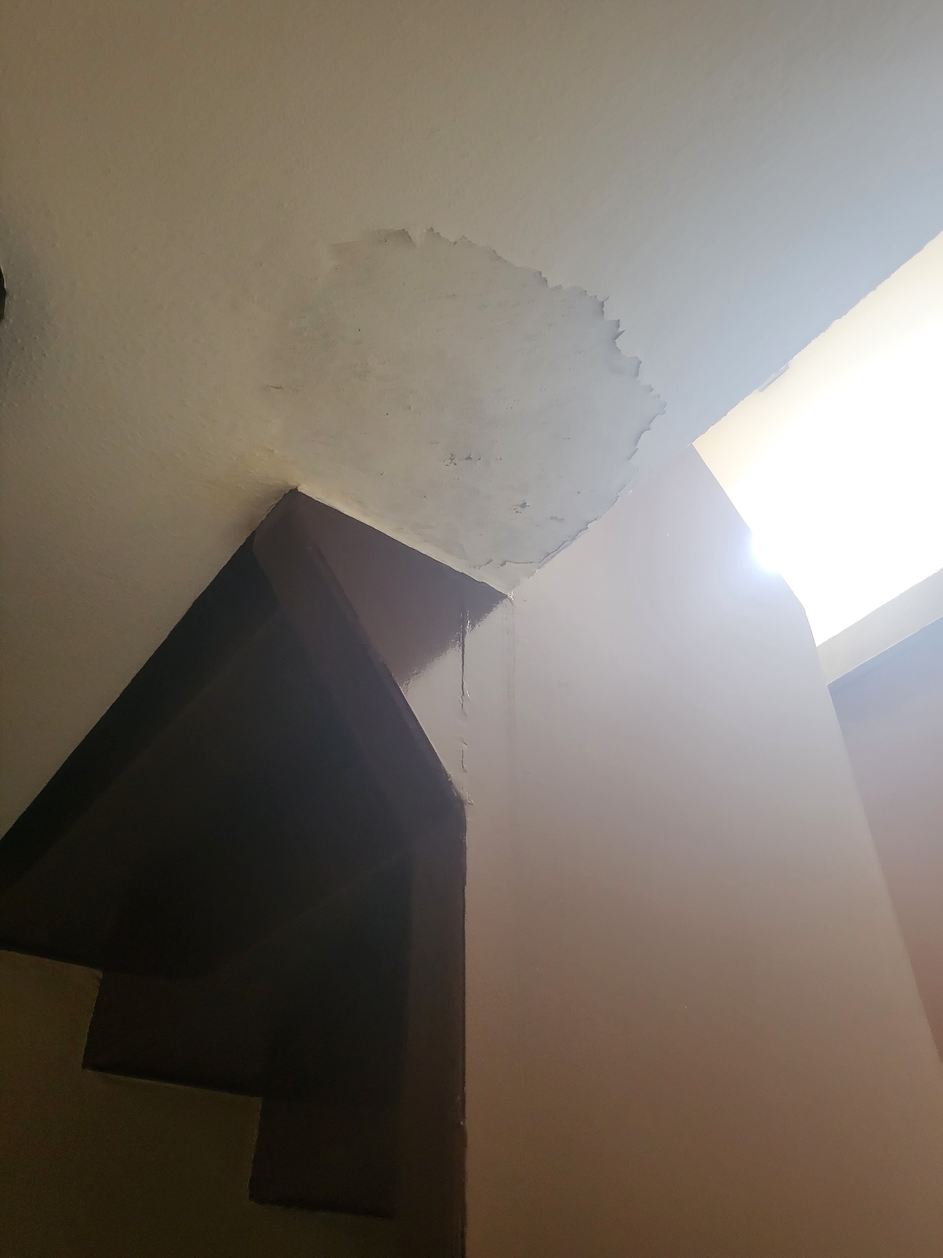 Photo n° 4 de l'avis de Mimiru.a fait le 28/04/2023 à 16:50