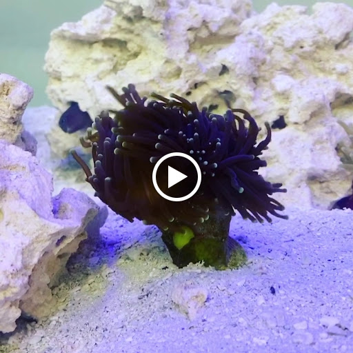 Explore tattoo ideas for siblings, creative tattoo ideas in Cary, available at Fine Art Body Piercing By Lilith Mae