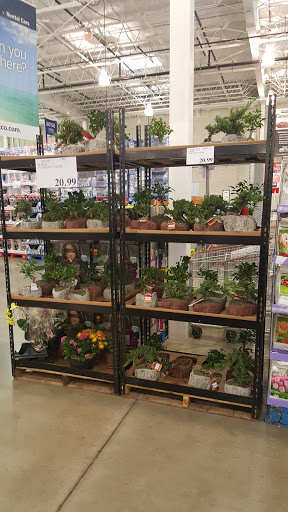Warehouse store «Costco Wholesale», reviews and photos, 1500 Gemini Pl, Columbus, OH 43240, USA