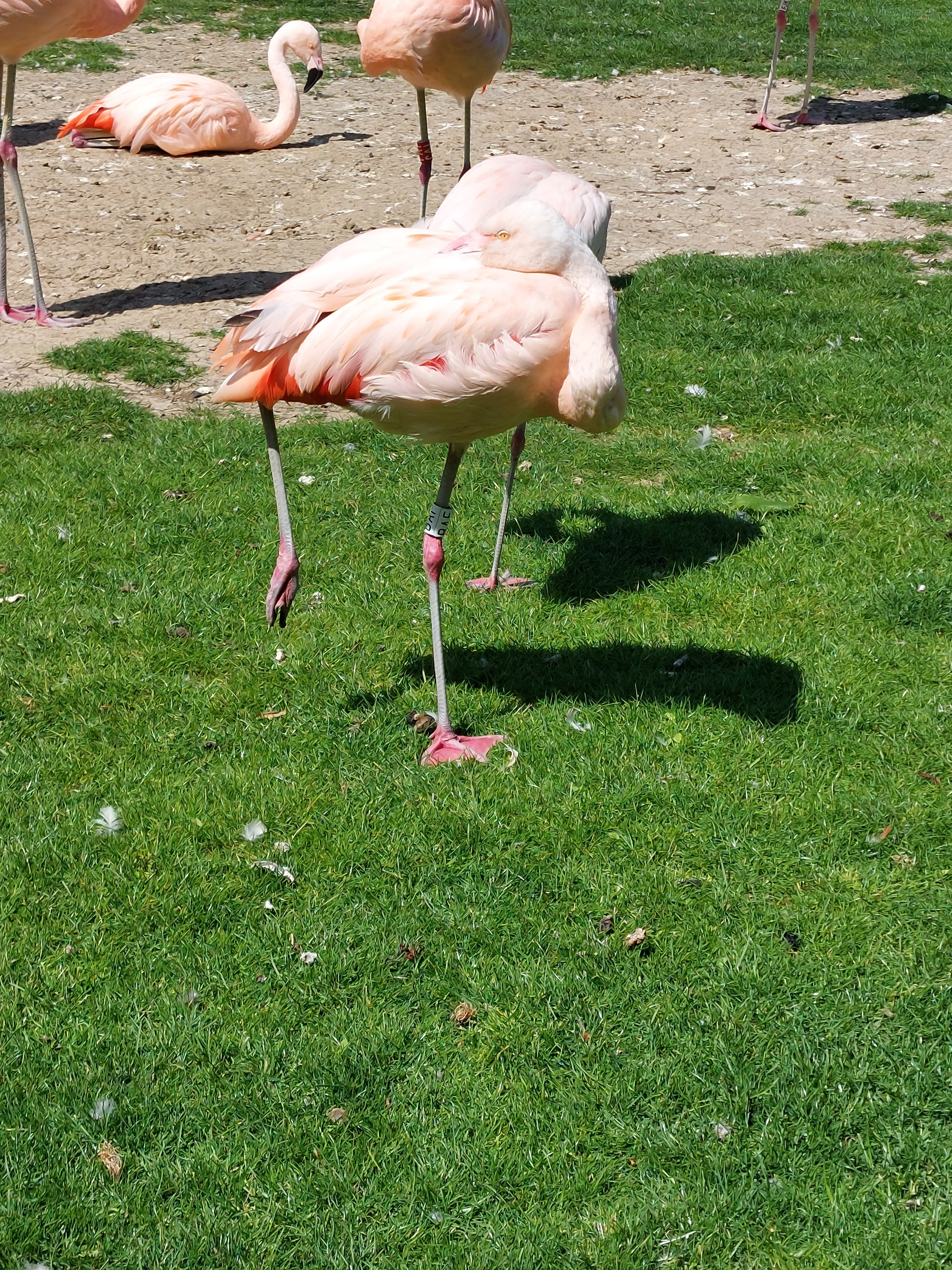 Photo n° 4 de l'avis de Anais. fait le 02/06/2023 à 17:52