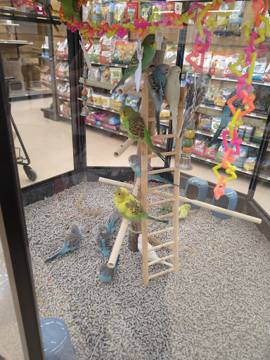 Pet Supply Store «Petco Animal Supplies», reviews and photos, 1753 St Lucie W Blvd, Port St Lucie, FL 34986, USA