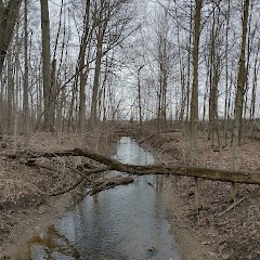 Darke County Parks - Routzong Preserve :