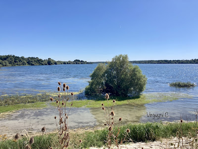 Lac du Der à Giffaumont-Champaubert