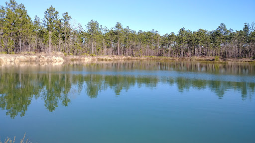 National Forest «Apalachicola National Forest», reviews and photos, Stateroad 13, Sopchoppy, FL 32358, USA