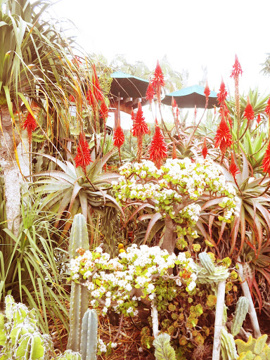 State Park «Moonlight State Beach», reviews and photos, 400 B St, Encinitas, CA 92024, USA