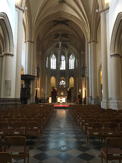 Cathédrale Saint-Quentin de Hasselt