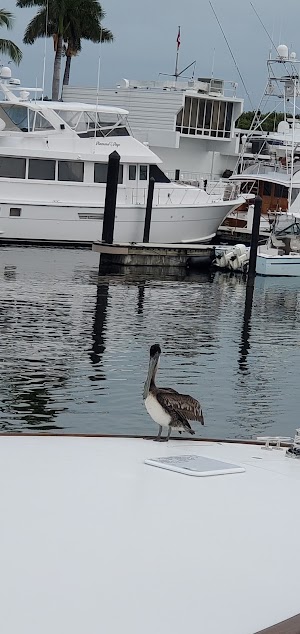 Ocean Reef Yacht Club - photo 9