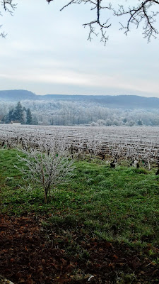 Domaine Philippe Garrey à Saint-Martin-sous-Montaigu