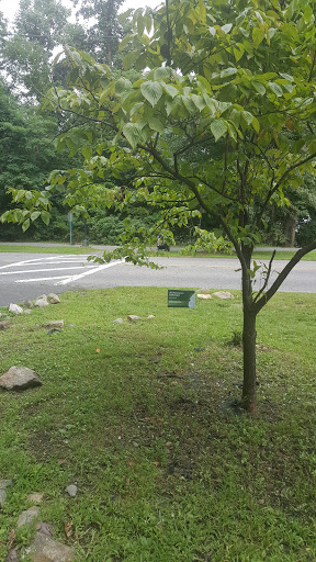 Park «Parks Lake», reviews and photos, Academy St, Rockaway, NJ 07866, USA