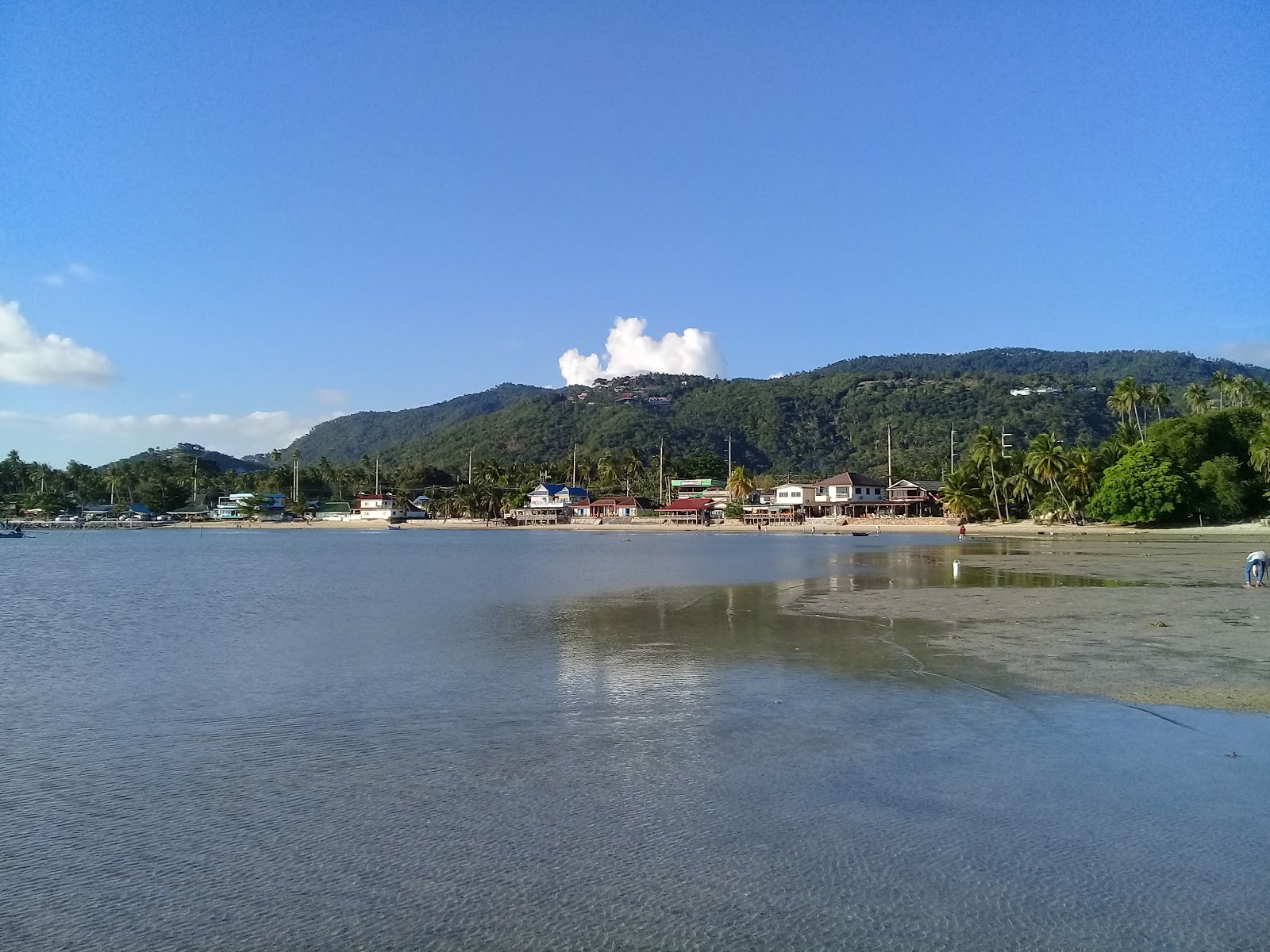 Fotografie cu Coconut Tree - locul popular printre cunoscătorii de relaxare