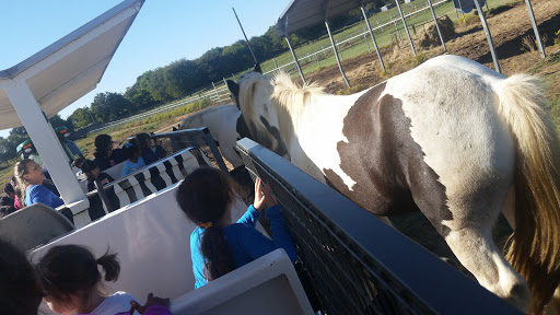 Ranch «Sharkarosa Wildlife Ranch», reviews and photos, 11670 Massey Rd, Pilot Point, TX 76258, USA