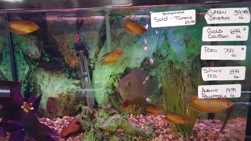 Tropical Fish Store «South Shore Tropicals», reviews and photos, 127 W Hoffman Ave, Lindenhurst, NY 11757, USA