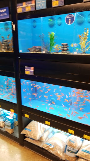 Pet Supply Store «PetSmart», reviews and photos, 181 Wilson Ave, Hanover, PA 17331, USA