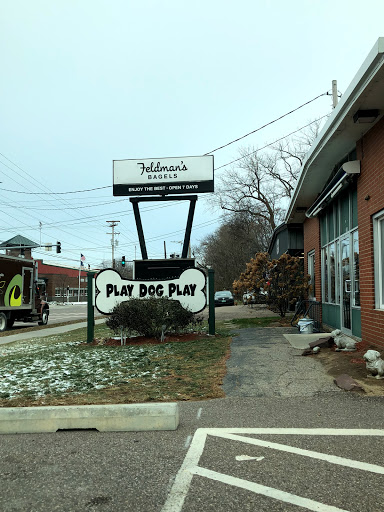 Dog Day Care Center «Play Dog Play Canine Care Center», reviews and photos, 668 Pine St, Burlington, VT 05401, USA