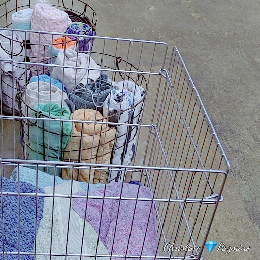 Pet Supply Store «Pet Supplies Plus», reviews and photos, 4250 N Alafaya Trail #240, Oviedo, FL 32765, USA