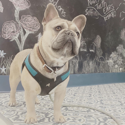 Pet Supply Store «Pet Wants», reviews and photos, 9486 S Union Square, Sandy, UT 84070, USA