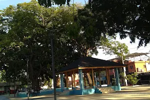 Parque Central image