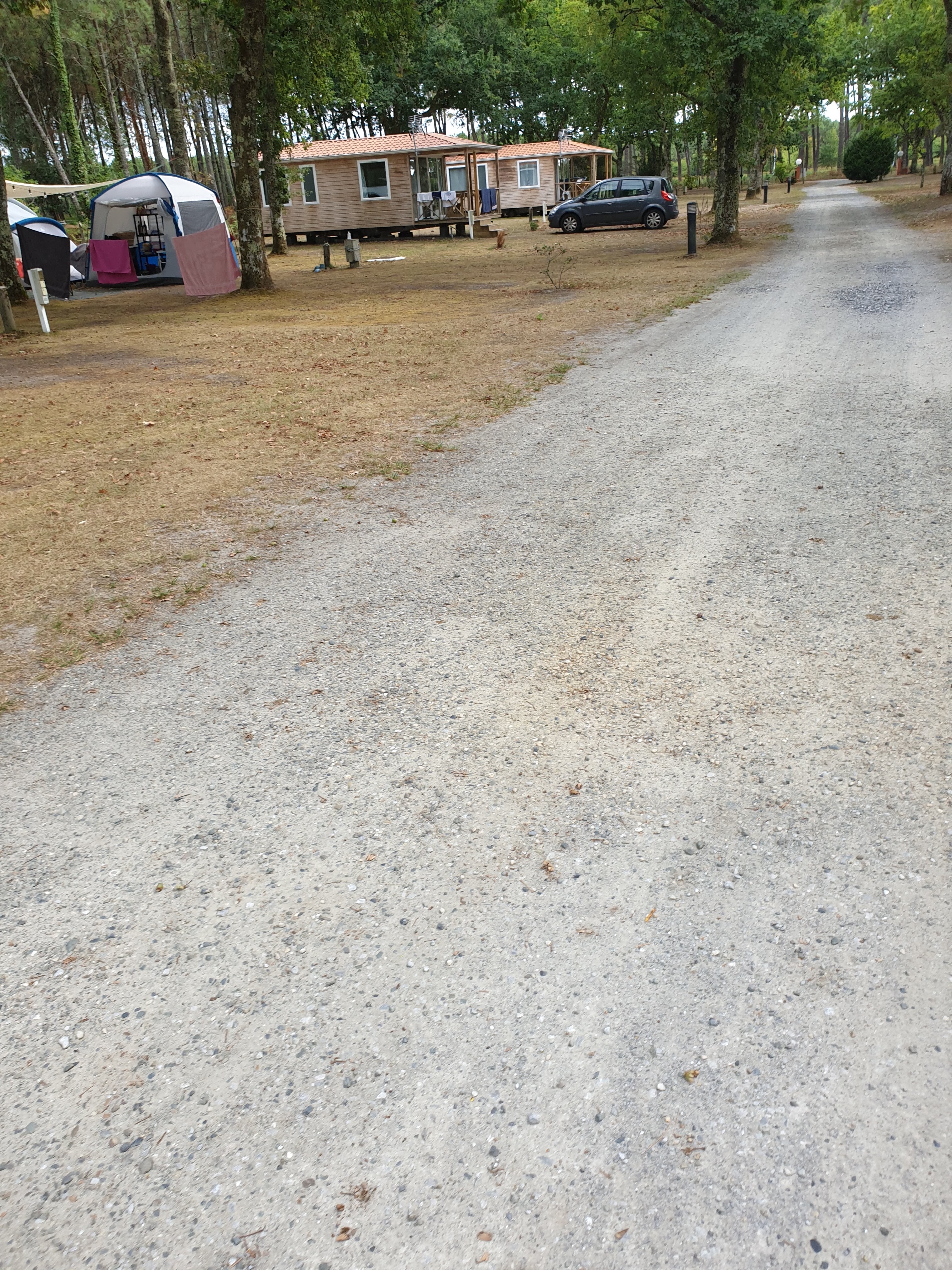 Photo n° 2 de l'avis de Tya.y fait le 29/08/2020 à 14:33