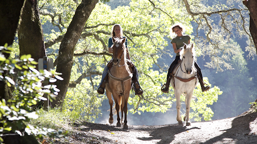 attractions PONEY CLUB DES ETRETS Le Plantay