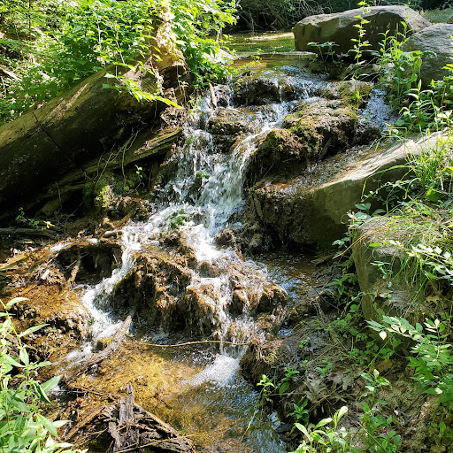 Nature Preserve «Fox Bluff Conservation Area», reviews and photos, Cold Springs Rd, Algonquin, IL 60102, USA