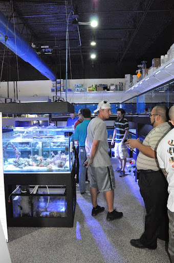 Tropical Fish Store «Elegant Reef - Tropical Fish Studio», reviews and photos, 301 W Nakoma Dr, San Antonio, TX 78216, USA