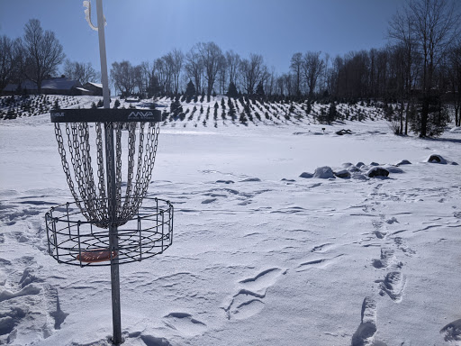 Outdoor Sports Store «Maple Hill Disc Golf», reviews and photos, 132 Marshall St, Leicester, MA 01524, USA