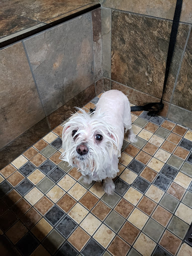 Pet Supply Store «Pet Valu», reviews and photos, 411 Valley Brook Ave, Lyndhurst, NJ 07071, USA