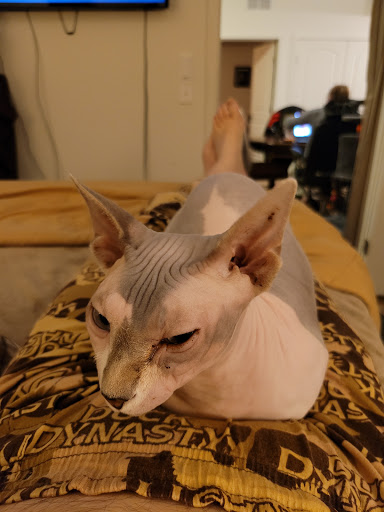 Locksmith «Key Man Lock & Safe Company», reviews and photos, 128 W 20th St a, Ogden, UT 84401, USA