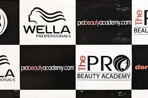 The Pro Beauty Academy image