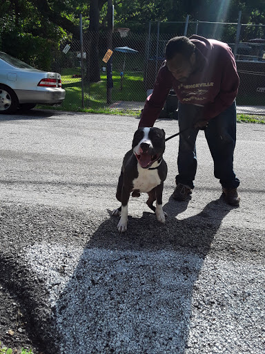 Pet Supply Store «Petco Animal Supplies», reviews and photos, 2723 Stroschein Rd, Monroeville, PA 15146, USA